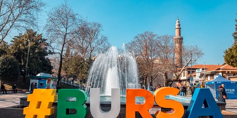 Cialis Bursa