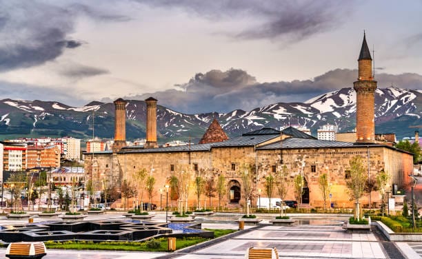 Cialis Erzurum