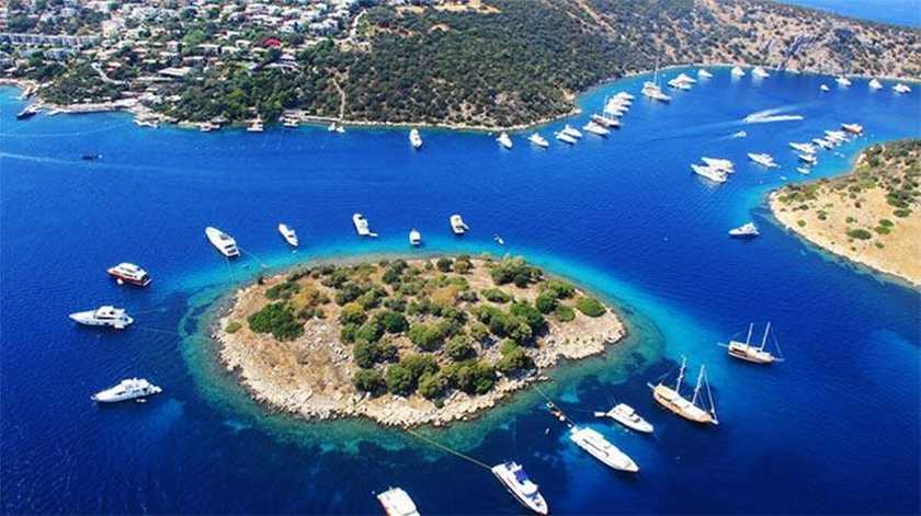 Cialis Muğla