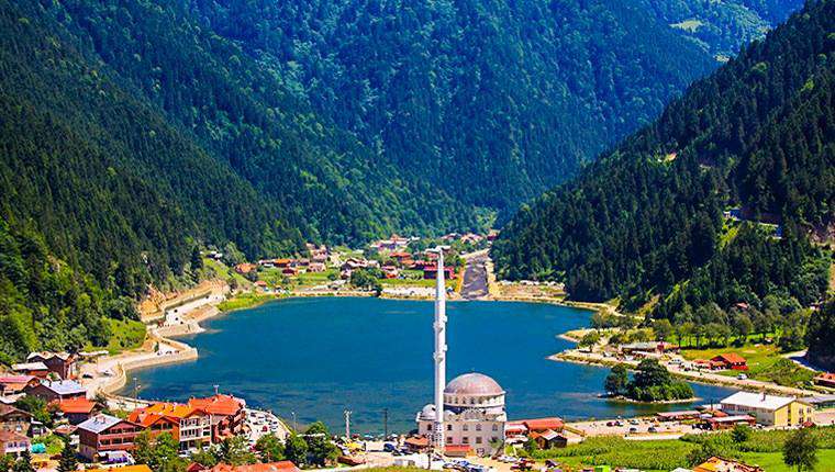 Cialis Trabzon